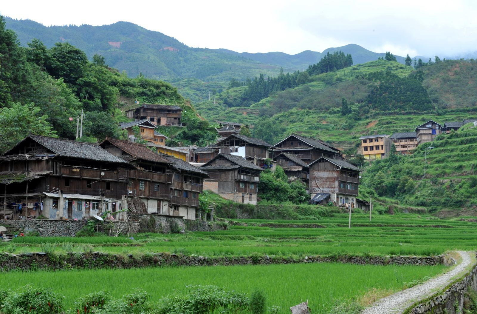 各施所長精準發(fā)力 中國僑商聯(lián)合會會員企業(yè)為脫貧攻堅貢獻“僑力量”