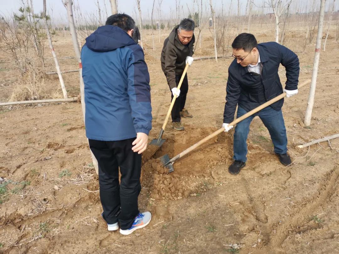 濮陽市僑聯(lián)開展義務(wù)植樹活動