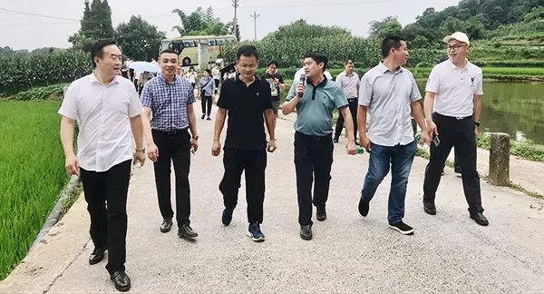 瀘州市僑商會(huì)開展“鄉(xiāng)村振興新視角”專題調(diào)研