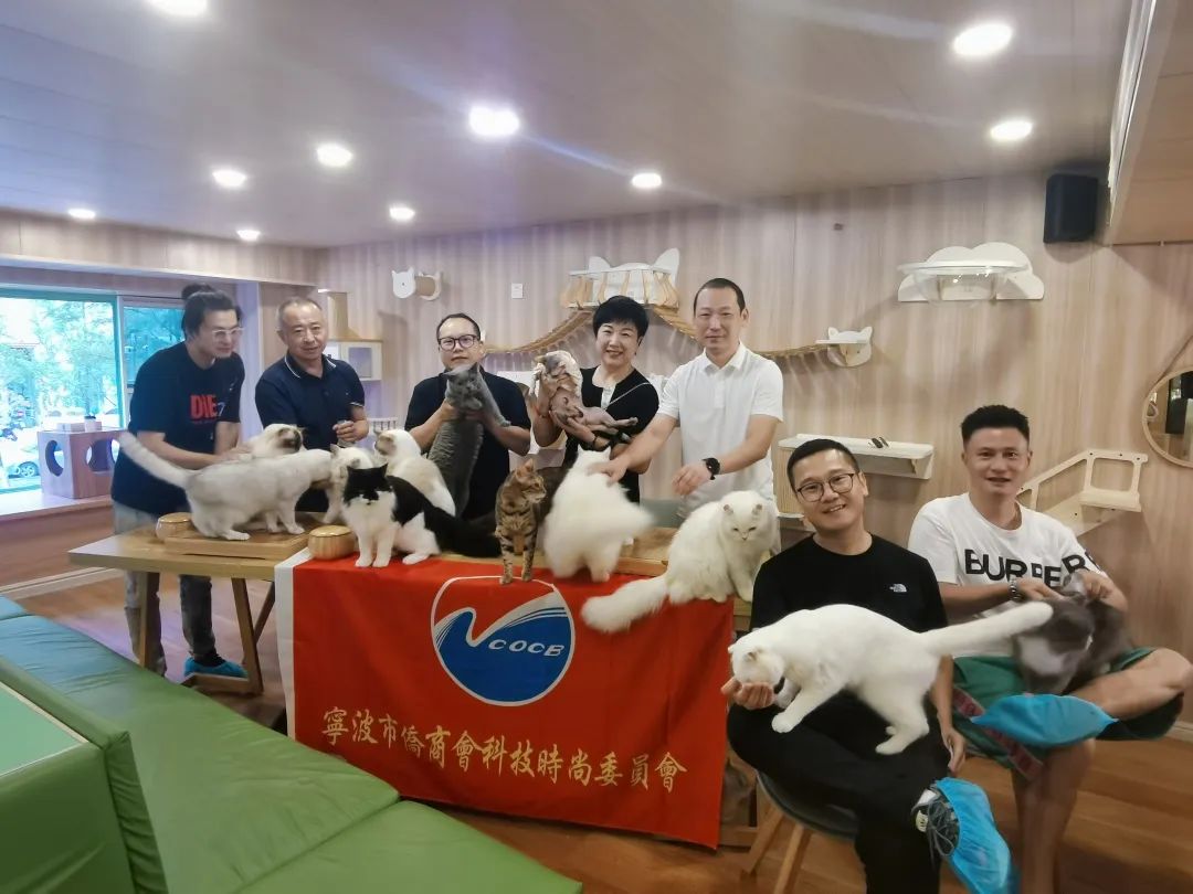 寧波市僑商會科技時尚委員會走進貓咖