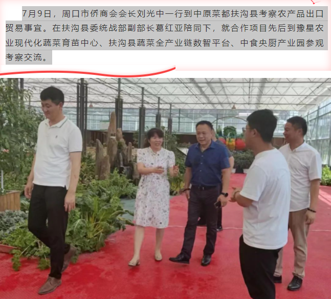 周口市僑商會(huì)赴扶溝縣考察農(nóng)產(chǎn)品出口貿(mào)易事宜