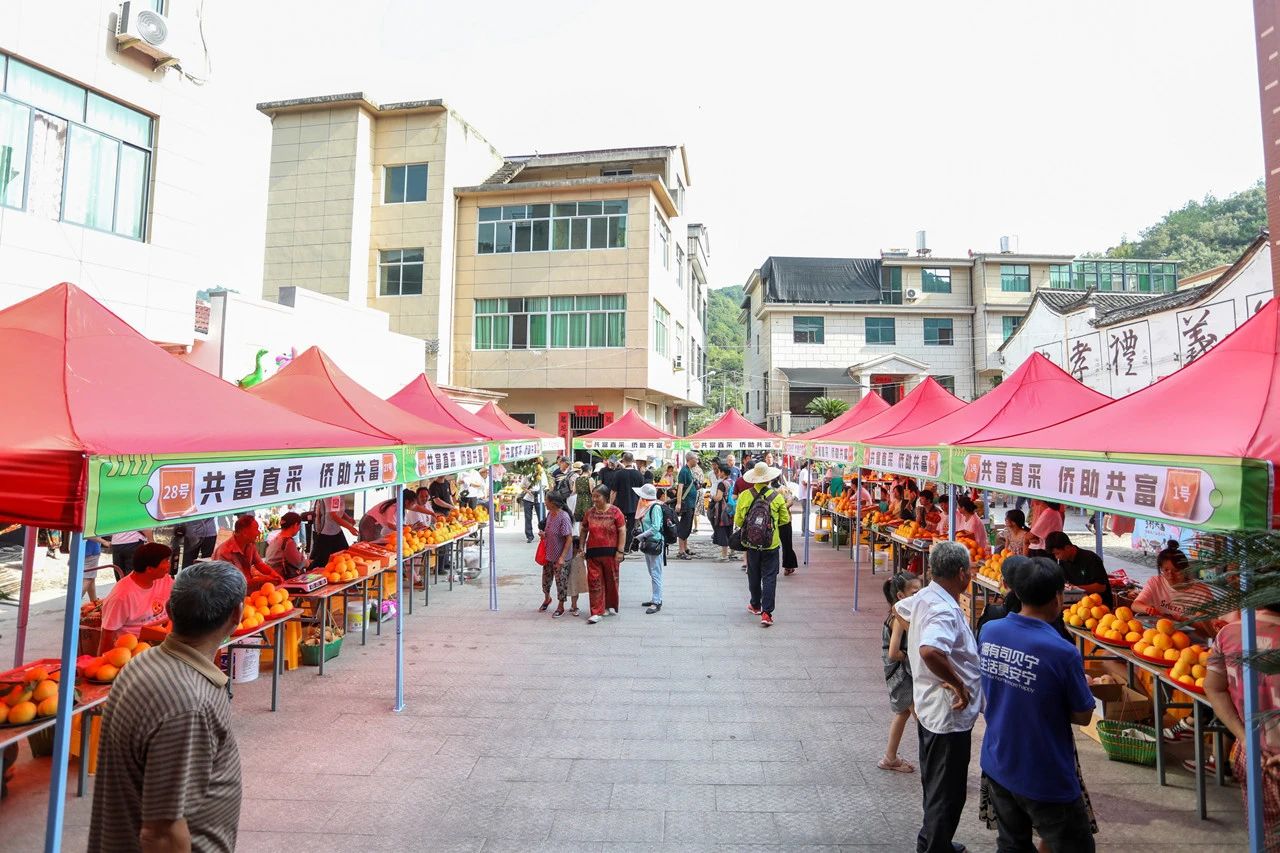 永康僑商走進楓源村　助力鄉(xiāng)村共富