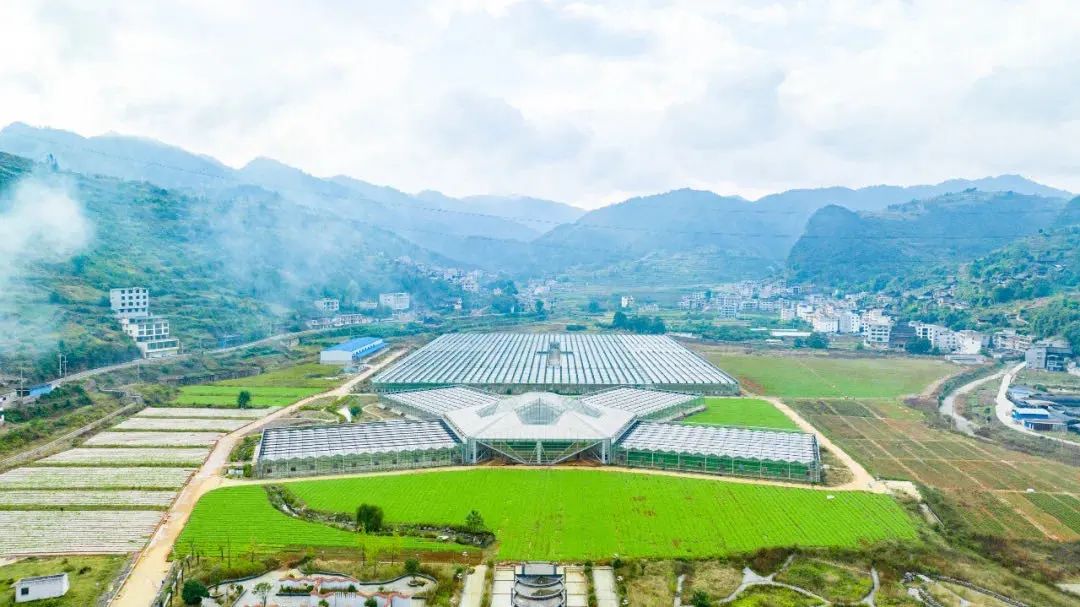 【名譽(yù)會(huì)長(zhǎng)】吳劍平：6年不斷試錯(cuò)，探索民營(yíng)企業(yè)助力鄉(xiāng)村振興的新路徑