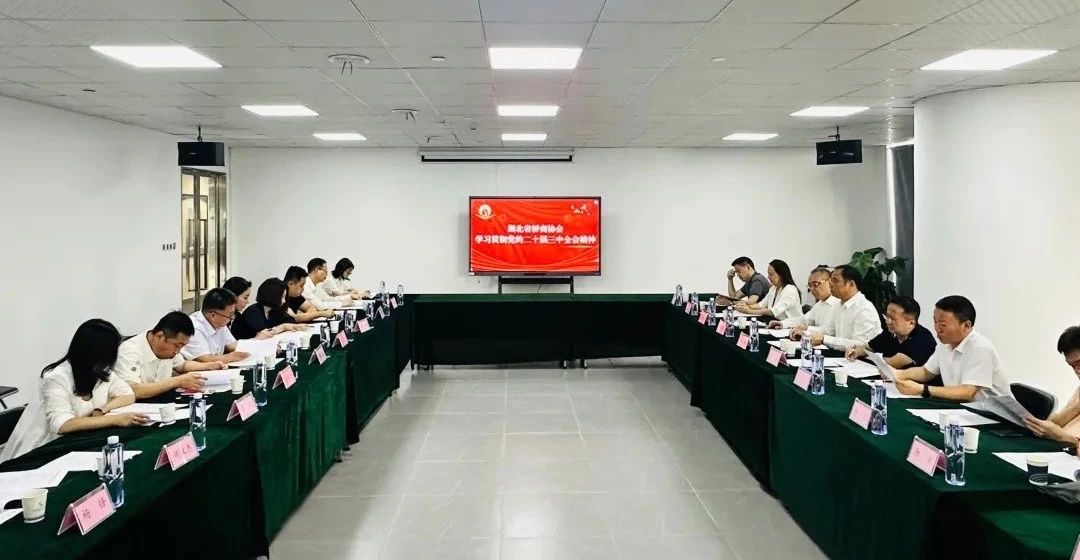 湖北省僑商協(xié)會五屆二次理事會在漢舉行