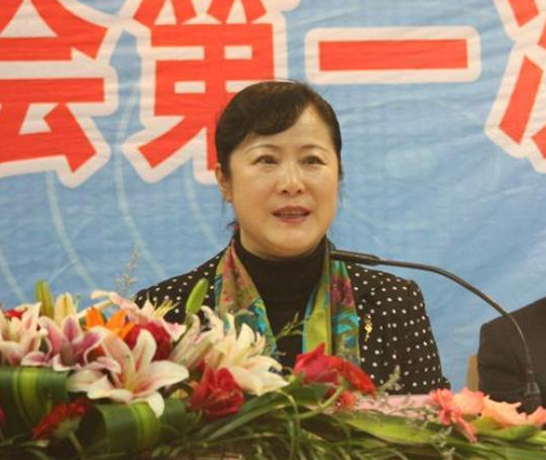 省僑聯(lián)主席董錦燕率省僑商會(huì)代表團(tuán)出席第八屆豫商大會(huì)