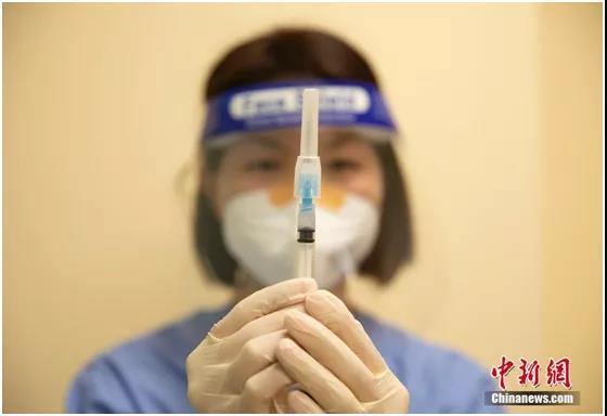 資料圖。中新社記者劉關關攝