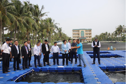 共謀發(fā)展大計(jì) 攜手合作共贏 以“僑”為“橋”助推湛江高質(zhì)量發(fā)展——僑助“百千萬(wàn)工程”行動(dòng)暨2023廣東僑商湛江行舉辦